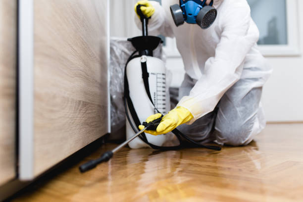 Best Bed Bug Extermination  in Sky Valley, CA