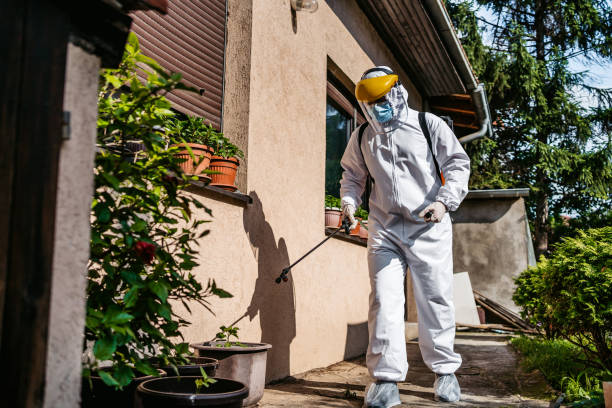 Best Exterminator Services  in Sky Valley, CA