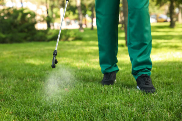Best Local Pest Control Services  in Sky Valley, CA