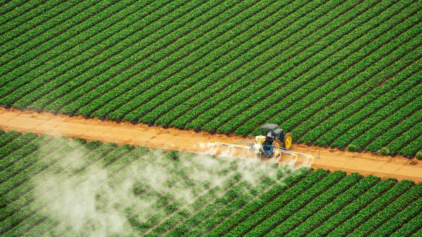 Best Commercial Pest Control Services  in Sky Valley, CA