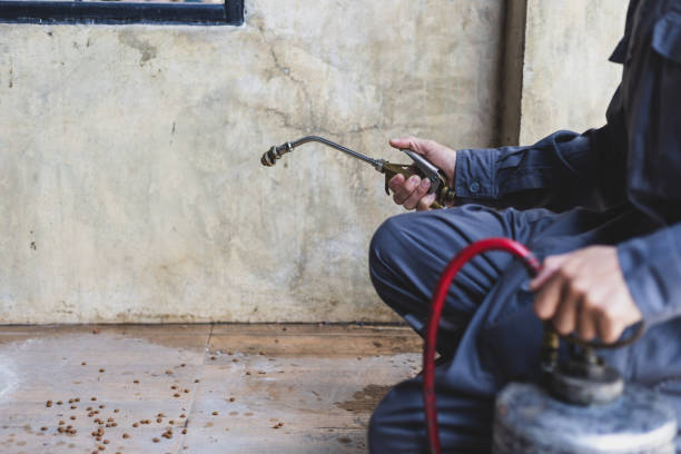Best Pest Control Near Me  in Sky Valley, CA